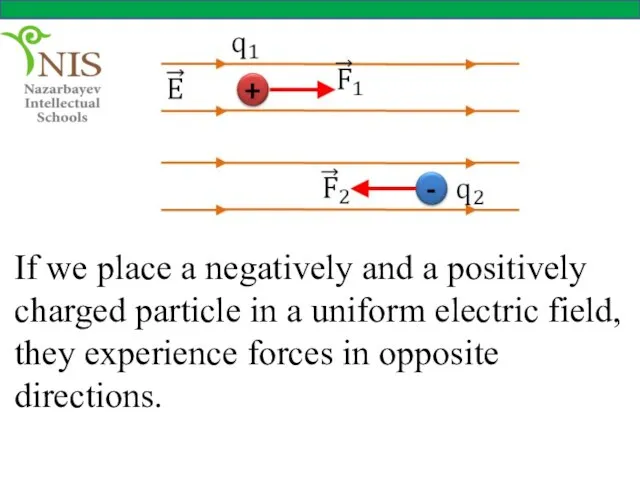 If we place a negatively and a positively charged particle in a