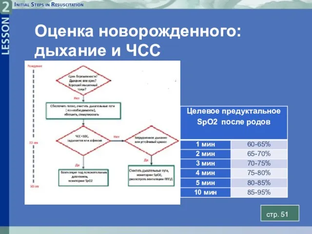 Оценка новорожденного: дыхание и ЧСС стp. 51