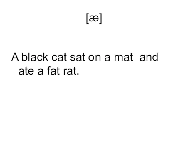 [æ] A black cat sat on a mat and ate a fat rat.