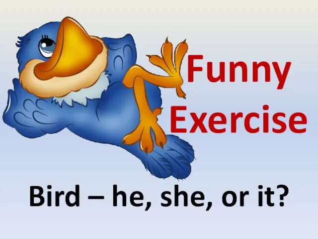 Bird – he, she, or it? Funny Exercise