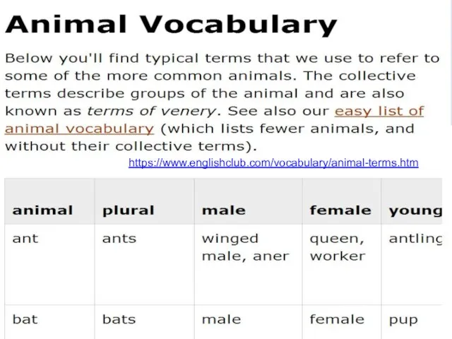 http://arvindguptatoys.com/arvindgupta/oldmansea.pdf Common English Grammar Errors with Plurals.mp4 https://www.englishclub.com/vocabulary/animal-terms.htm