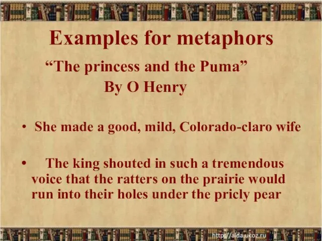 Examples for metaphors “The princess and the Puma” By O Henry She