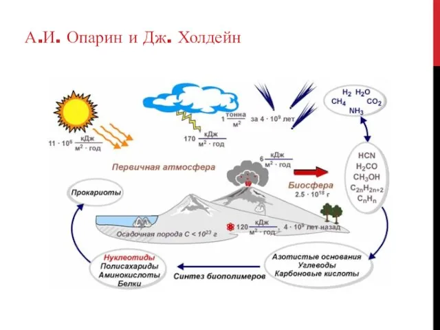 А.И. Опарин и Дж. Холдейн