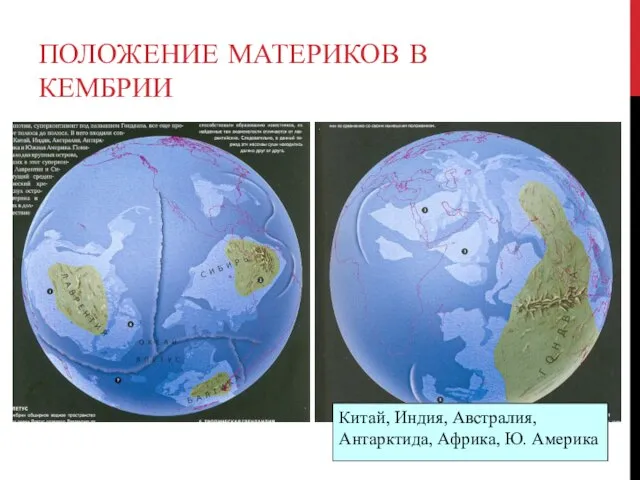 ПОЛОЖЕНИЕ МАТЕРИКОВ В КЕМБРИИ Китай, Индия, Австралия, Антарктида, Африка, Ю. Америка