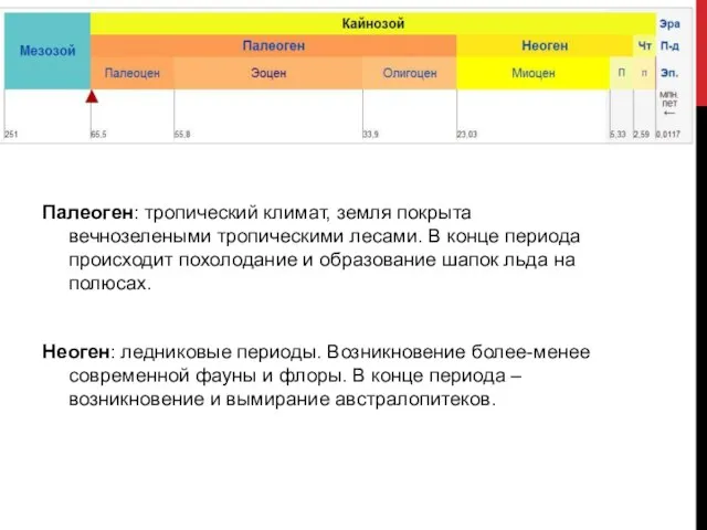 Палеоген: тропический климат, земля покрыта вечнозелеными тропическими лесами. В конце периода происходит