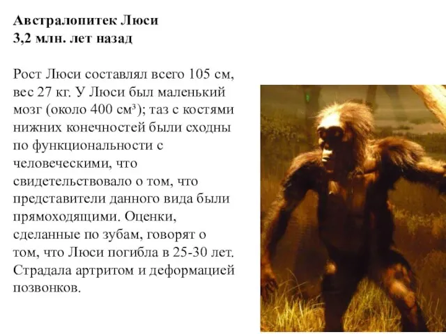 Австралопитек Люси 3,2 млн. лет назад Рост Люси составлял всего 105 см,