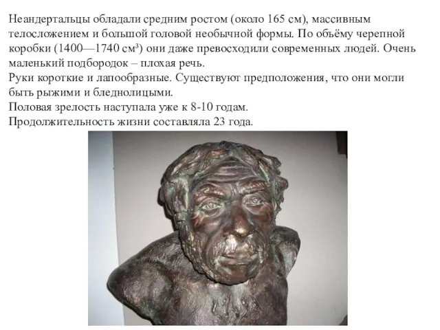 Неандертальцы обладали средним ростом (около 165 см), массивным телосложением и большой головой