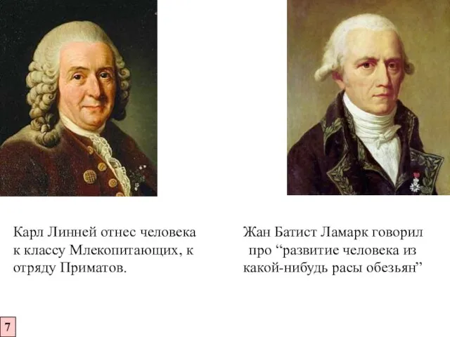 7 Карл Линней отнес человека к классу Млекопитающих, к отряду Приматов. Жан