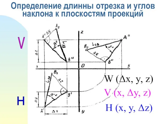 Определение длинны отрезка и углов наклона к плоскостям проекций W (Δx, y,