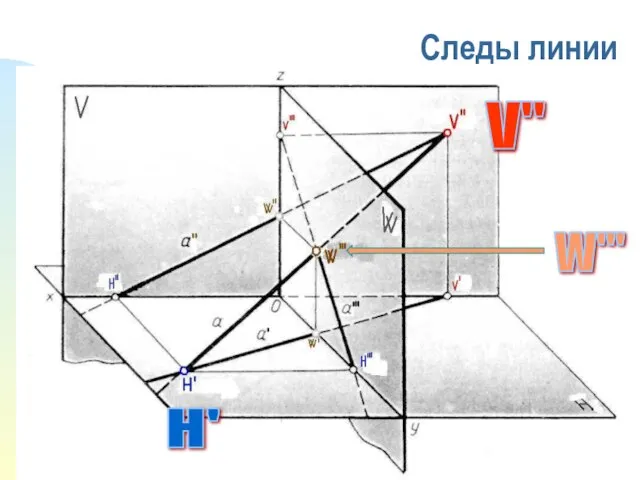 Следы линии H' V" W'''