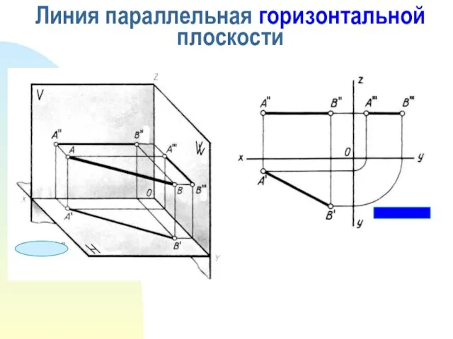 Линия параллельная горизонтальной плоскости