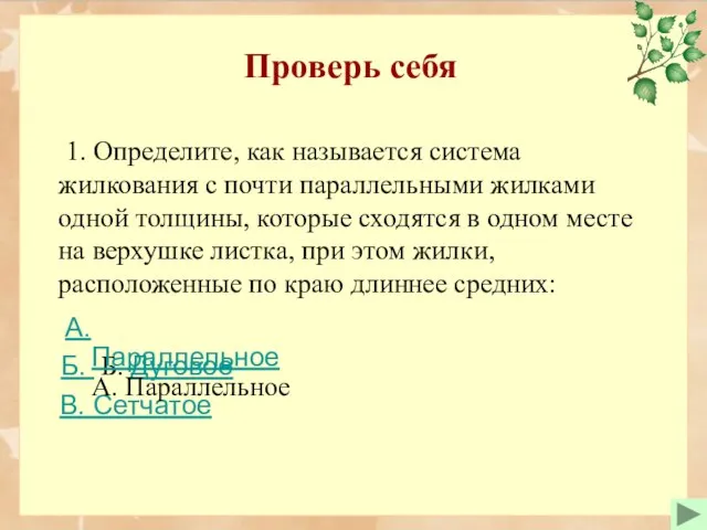 Проверь себя 1. Определите, как называется система жилкования с почти параллельными жилками