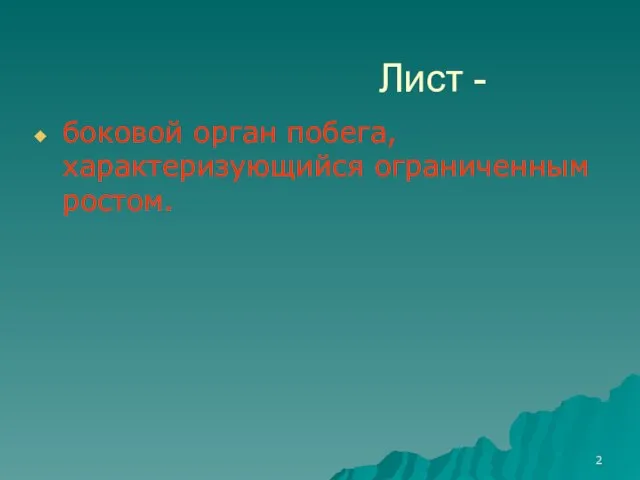 Лист - боковой орган побега, характеризующийся ограниченным ростом.