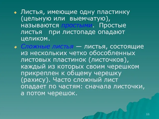 Листья, имеющие одну пластинку (цельную или выемчатую), называются простыми. Простые листья при