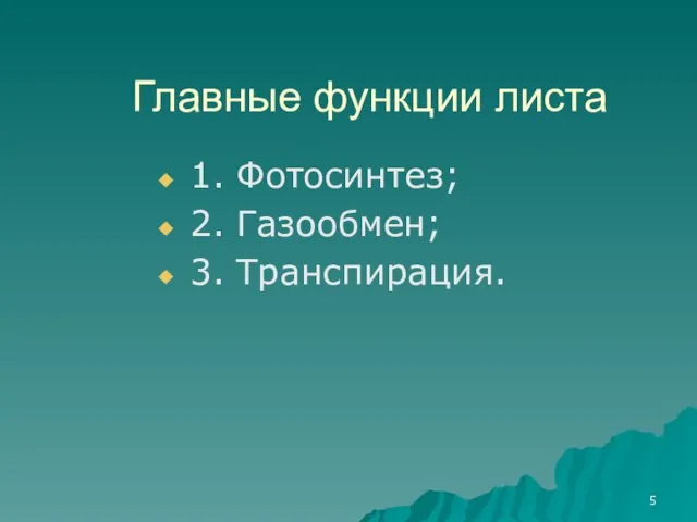 Главные функции листа 1. Фотосинтез; 2. Газообмен; 3. Транспирация.