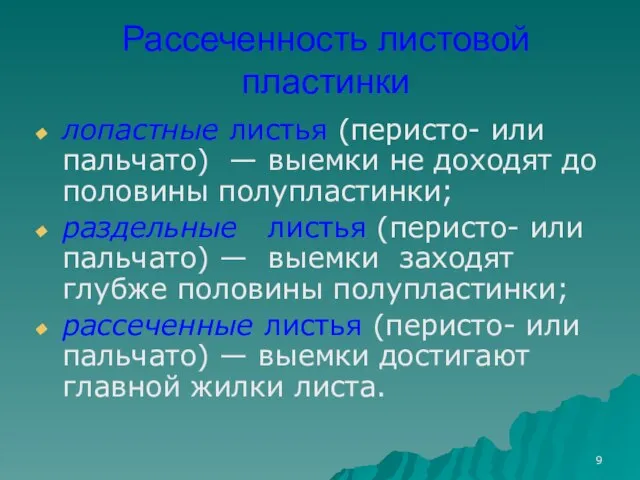 Рассеченность листовой пластинки лопастные листья (перисто- или пальчато) — выемки не доходят