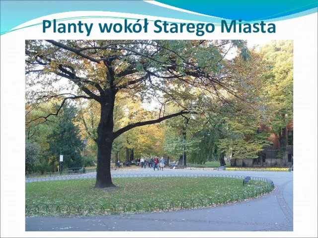 Planty wokół Starego Miasta