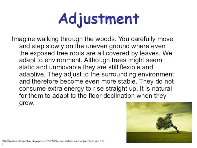 Adjustment Imagine walking through the woods. You carefully move and step slowly