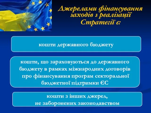 Джерелами фінансування заходів з реалізації Стратегії є: кошти державного бюджету кошти, що