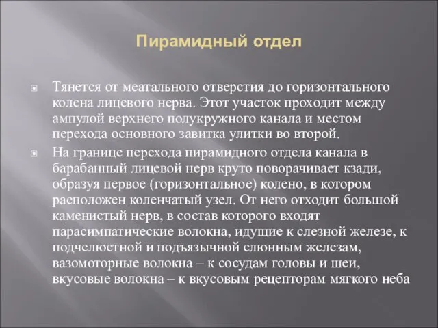 Пирамидный отдел Тянется от меатального отверстия до горизонтального колена лицевого нерва. Этот