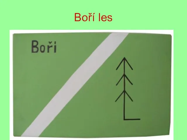 Boří les