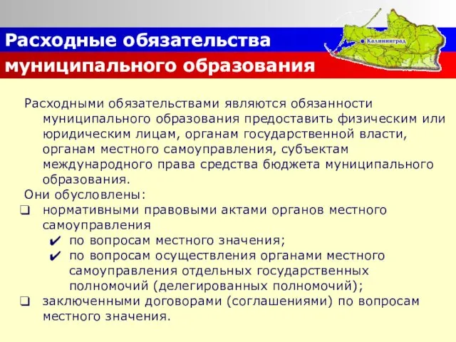 Расходные обязательства муниципального образования Расходными обязательствами являются обязанности муниципального образования предоставить физическим