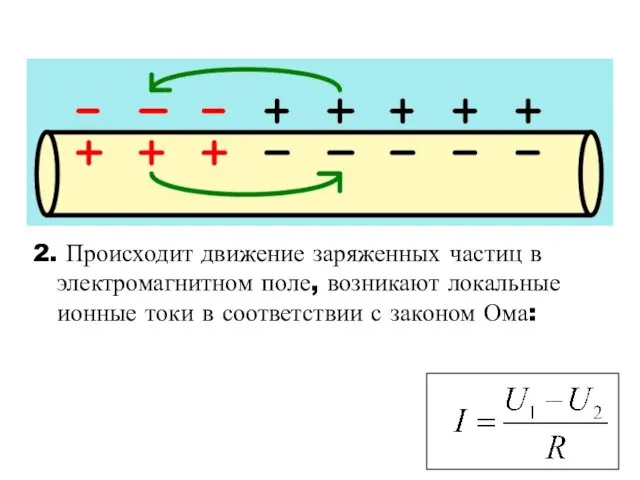 2. Происходит движение заряженных частиц в электромагнитном поле, возникают локальные ионные токи