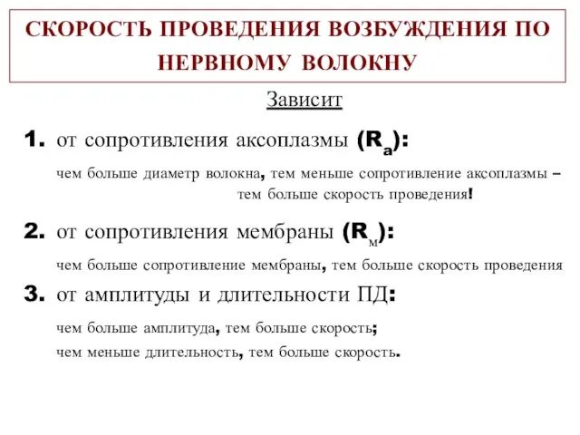 СКОРОСТЬ ПРОВЕДЕНИЯ ВОЗБУЖДЕНИЯ ПО НЕРВНОМУ ВОЛОКНУ Зависит от сопротивления аксоплазмы (Ra): чем