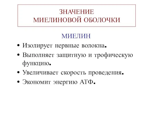 ЗНАЧЕНИЕ МИЕЛИНОВОЙ ОБОЛОЧКИ МИЕЛИН Изолирует нервные волокна. Выполняет защитную и трофическую функцию.