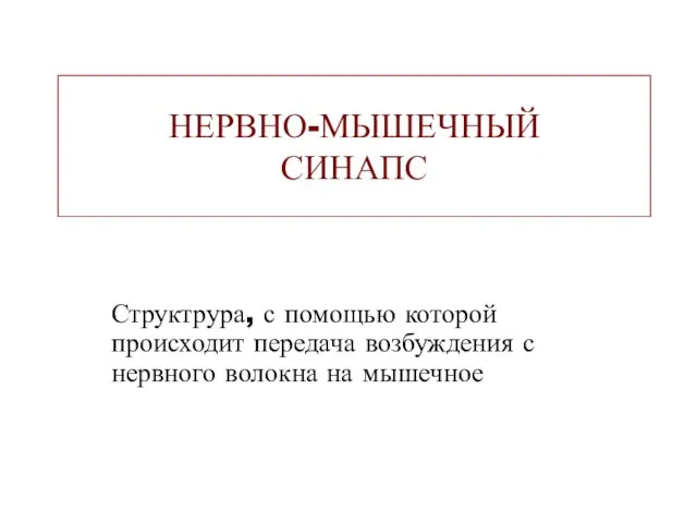 НЕРВНО-МЫШЕЧНЫЙ СИНАПС Структрура, с помощью которой происходит передача возбуждения с нервного волокна на мышечное