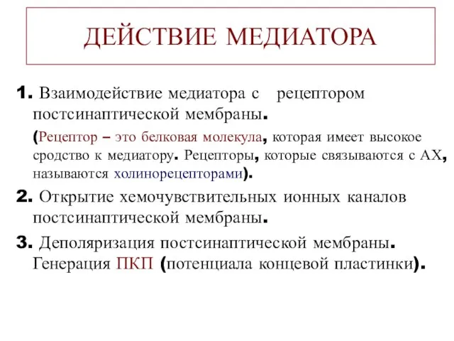 ДЕЙСТВИЕ МЕДИАТОРА 1. Взаимодействие медиатора с рецептором постсинаптической мембраны. (Рецептор – это