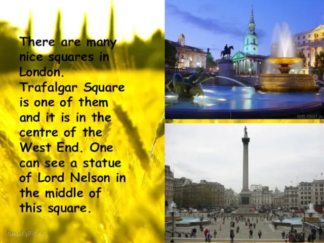 There are many nice squares in London. Trafalgar Square is one of