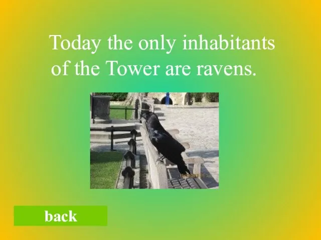 back Today the only inhabitants of the Tower are ravens.