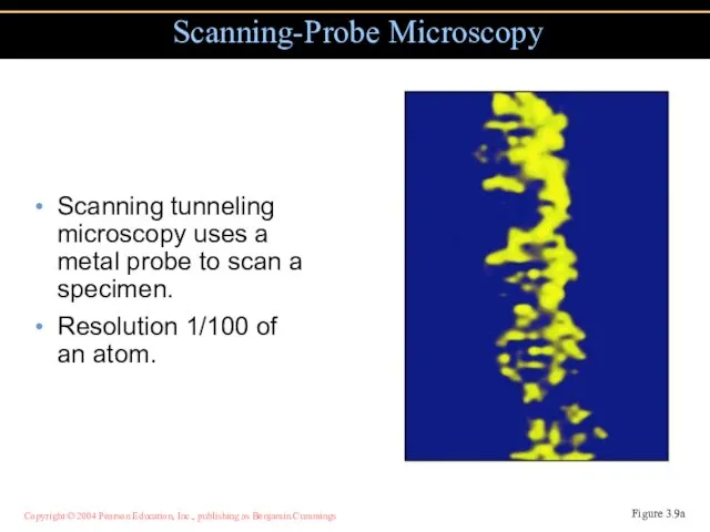 Scanning tunneling microscopy uses a metal probe to scan a specimen. Resolution