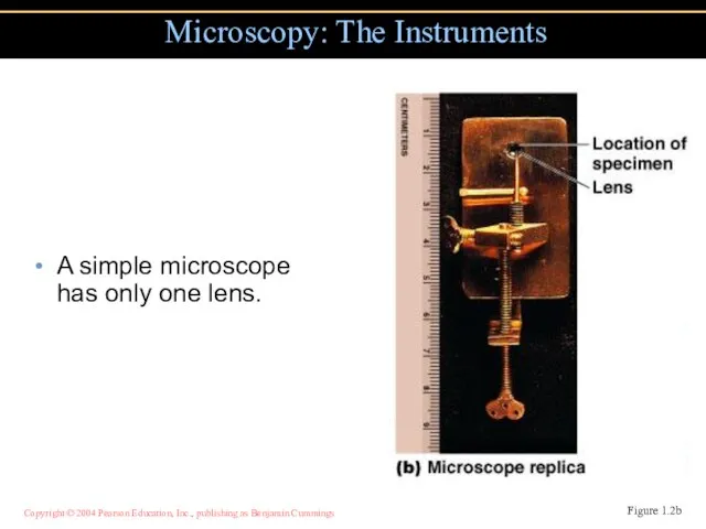 A simple microscope has only one lens. Microscopy: The Instruments Figure 1.2b