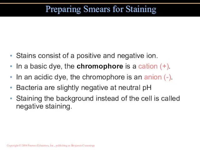 Stains consist of a positive and negative ion. In a basic dye,