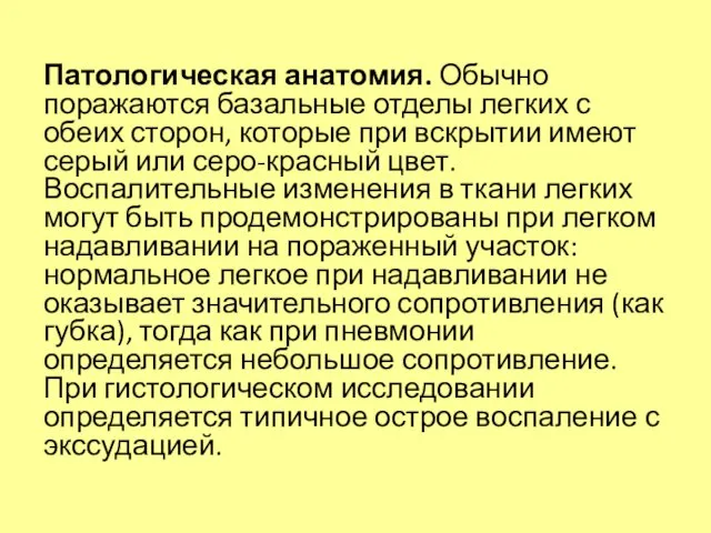 Патологическая анатомия. Обычно поражаются базальные отделы легких с обеих сторон, которые при