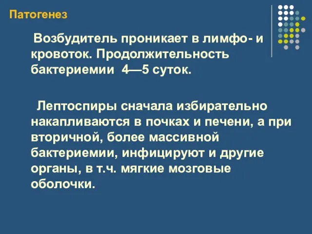 Патогенез Возбудитель проникает в лимфо- и кровоток. Продолжительность бактериемии 4—5 суток. Лептоспиры