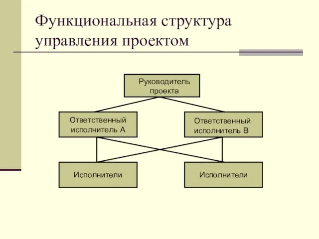 Функциональная структура управления проектом Руководитель проекта Ответственный исполнитель В