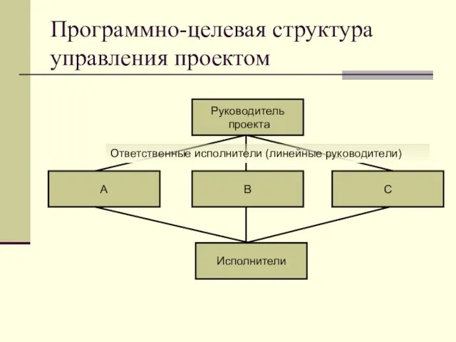 Программно-целевая структура управления проектом Ответственные исполнители (линейные руководители)