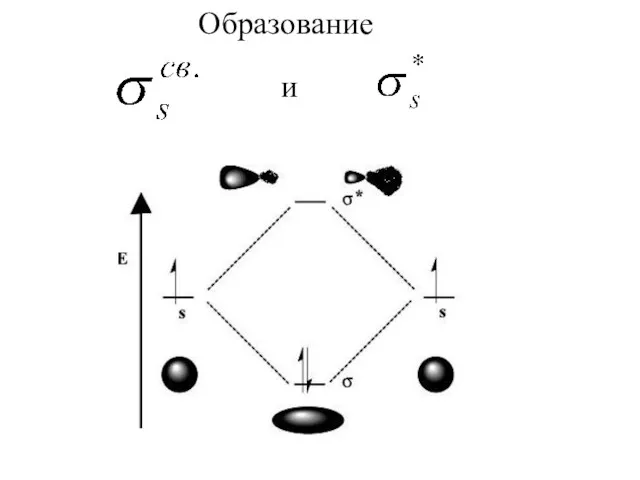 Образование и