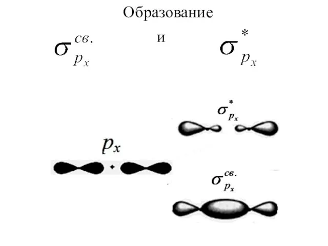 Образование и