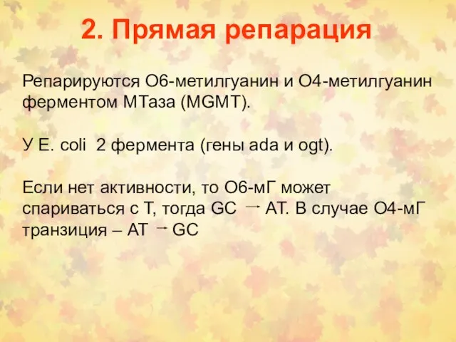 2. Прямая репарация Репарируются О6-метилгуанин и О4-метилгуанин ферментом МТаза (MGMT). У Е.