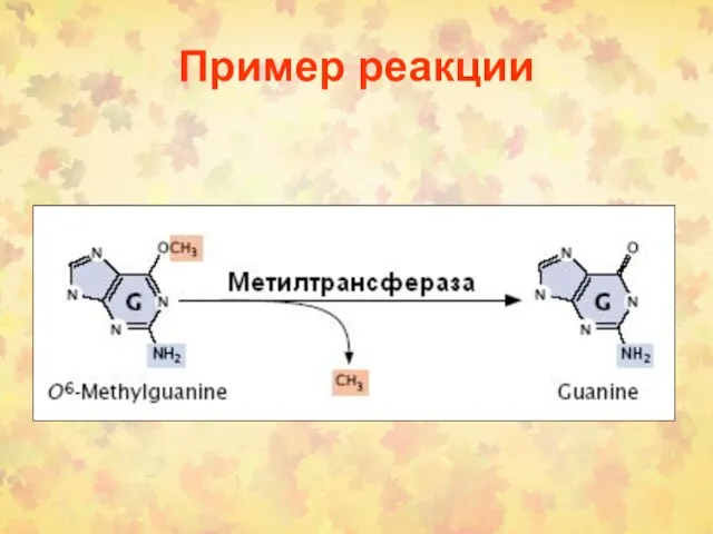 Пример реакции