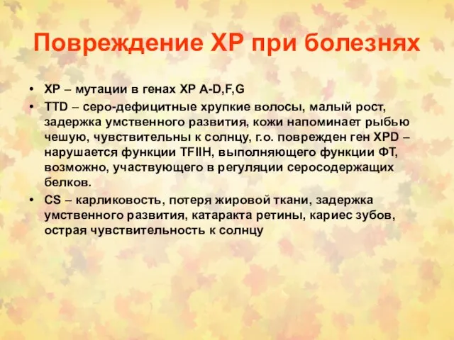 Повреждение ХР при болезнях ХР – мутации в генах XP A-D,F,G TTD