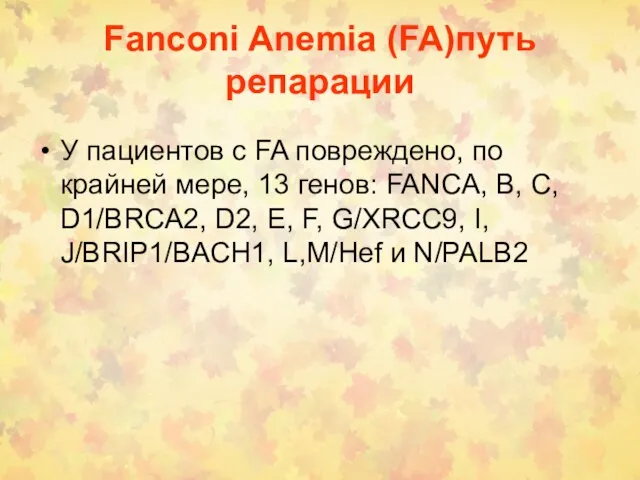 Fanconi Anemia (FA)путь репарации У пациентов с FA повреждено, по крайней мере,