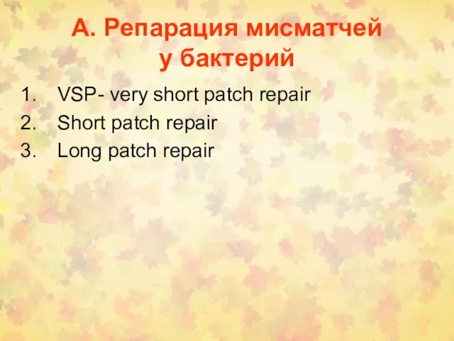 А. Репарация мисматчей у бактерий VSP- very short patch repair Short patch repair Long patch repair