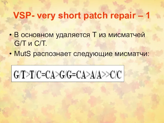 VSP- very short patch repair – 1 В основном удаляется Т из