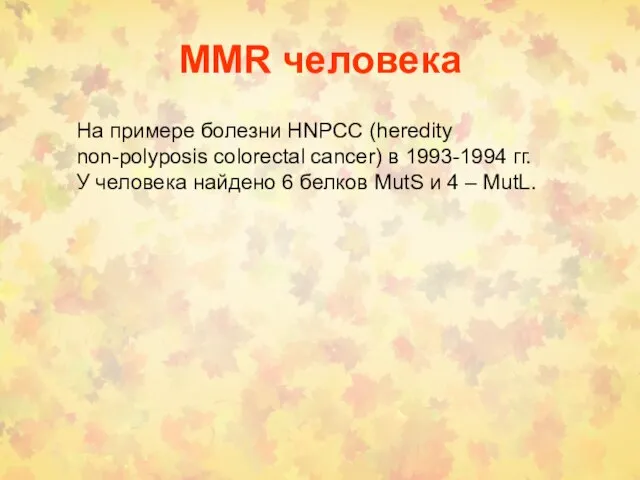 MMR человека На примере болезни HNPCC (heredity non-polyposis colorectal cancer) в 1993-1994