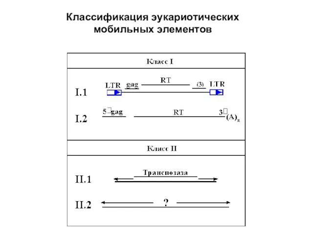 Классификация эукариотических мобильных элементов